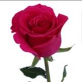 (Category: ) located in . Submitted by krishnaveni.annamali (Listing ID 1437257290, Image 1). Description: .