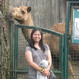 (Category: ) located in . Submitted by shoppeonusph (Listing ID 1369817376, Image 1). Description: .