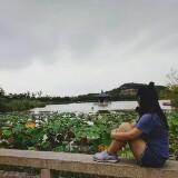 由 fgh2323 (刊登 ID 1379198530，圖片 1) 提交，位於 的 (類別：)，說明：。