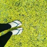 (Category: ) located in . Submitted by gracetanghl (Listing ID 1414292958, Image 1). Description: .