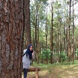 (Kategori: ) berada di . Dikirim oleh nhwidya93 (ID iklan 1453519997, Gambar 1). Deskripsi: .