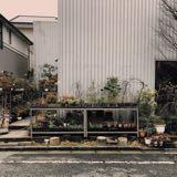 (Category: ) located in . Submitted by r.yujw (Listing ID 1375821054, Image 1). Description: .