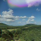 (Category: ) located in . Submitted by ashiewonder (Listing ID 1376379013, Image 1). Description: .