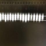 (Category: ) located in . Submitted by charles00000 (Listing ID 1329820815, Image 1). Description: .