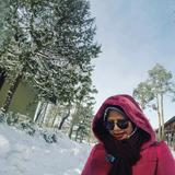 (Category: ) located in . Submitted by zonkiedonk88 (Listing ID 1379859787, Image 1). Description: .