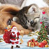 (Category: ) located in . Submitted by gigites (Listing ID 1468526928, Image 1). Description: .