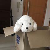 (Category: ) located in . Submitted by lyp0317 (Listing ID 1376080757, Image 1). Description: .