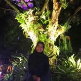 (Category: ) located in . Submitted by nurcahaya_ (Listing ID 1421277628, Image 1). Description: .