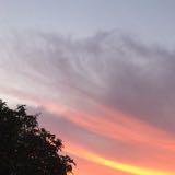 (Category: ) located in . Submitted by pancake. (Listing ID 1379540975, Image 1). Description: .