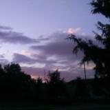 (Category: ) located in . Submitted by amethyst25 (Listing ID 1368441580, Image 1). Description: .