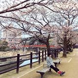 （分類：）位於 。 由 sky_wing 提交（商品編號 1347267355，圖片 1）。簡介： 。