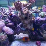 (Category: ) located in . Submitted by happyfamilyallday (Listing ID 1275890741, Image 1). Description: .