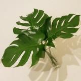 (Category: ) located in . Submitted by trolstice123 (Listing ID 1383883417, Image 1). Description: .