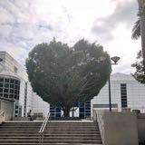 (分類:)位於 。 由 ywchung24 提交(商品編號 1407612426,圖片 1)。簡介: 。