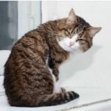 (Kategori: ) berada di . Dikirim oleh prlvdnyaaku (ID iklan 1375788316, Gambar 1). Deskripsi: .