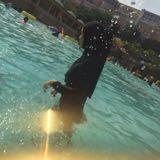 (Category: ) located in . Submitted by tobeloved (Listing ID 1385685092, Image 1). Description: .