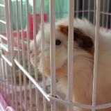 (Category: ) located in . Submitted by thisthisthatthat (Listing ID 1376071774, Image 1). Description: .