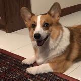 (Category: ) located in . Submitted by vairamg (Listing ID 1381727367, Image 1). Description: .