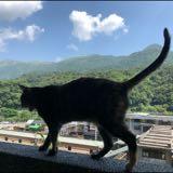 （分類：）位於 。 由 ikkkkkko 提交（商品編號 1163284634，圖片 1）。簡介： 。