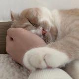 (Kategori: ) berada di . Dikirim oleh nananalilindri (ID iklan 1369026044, Gambar 1). Deskripsi: .