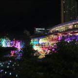 由 lizzz588 (刊登 ID 1383449355，圖片 1) 提交，位於 的 (類別：)，說明：。