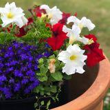 （分類：）位於 。 由 sausau1 提交（商品編號 1330409763，圖片 1）。簡介： 。