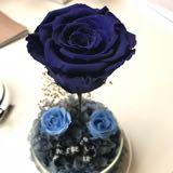 (Category: ) located in . Submitted by shopaholic.al (Listing ID 1380179620, Image 1). Description: .