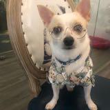 (Category: ) located in . Submitted by mummyluvkobe (Listing ID 1371107029, Image 1). Description: .