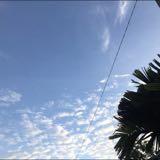 (Category: ) located in . Submitted by sriniah (Listing ID 1447744908, Image 1). Description: .
