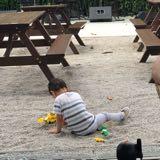 (Category: ) located in . Submitted by tanns (Listing ID 1321523497, Image 1). Description: .