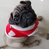 （分類：）位於 。 由 ryan.luk 提交（商品編號 1307868413，圖片 1）。簡介： 。