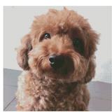 (Category: ) located in . Submitted by zhoumingya (Listing ID 1159473260, Image 1). Description: .