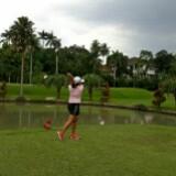 (Kategori: ) berada di . Dikirim oleh mimi_02 (ID iklan 1373622539, Gambar 1). Deskripsi: .