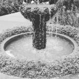 (Category: ) located in . Submitted by broskii (Listing ID 1378709391, Image 1). Description: .