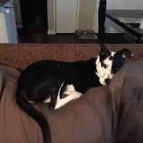 (Category: ) located in . Submitted by daisy.sunshine (Listing ID 1340489383, Image 1). Description: .