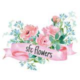 (Category: ) located in . Submitted by sfc_flowers (Listing ID 1214612173, Image 1). Description: .