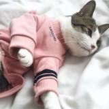 (Category: ) located in . Submitted by crysosq (Listing ID 1372373715, Image 1). Description: .