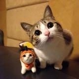 (Category: ) located in . Submitted by sgmytravel (Listing ID 1192465108, Image 1). Description: .