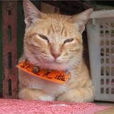 （分類：）位於 。 由 lcwhk 提交（商品編號 1260634941，圖片 1）。簡介： 。