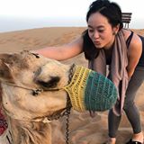 （分類：）位於 。 由 tiffwong127 提交（商品編號 1318173418，圖片 1）。簡介： 。