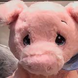 (Category: ) located in . Submitted by piggywoman (Listing ID 237599106, Image 1). Description: .