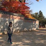 （分類：）位於 。 由 limag 提交（商品編號 1340243175，圖片 1）。簡介： 。