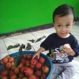 (Kategori: ) berada di . Dikirim oleh eja_08997394638 (ID iklan 1277981398, Gambar 1). Deskripsi: .