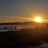 (Category: ) located in . Submitted by r.j.m (Listing ID 1444602234, Image 1). Description: .