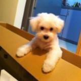 (Category: ) located in . Submitted by samantha.ng.904 (Listing ID 1368398226, Image 1). Description: .