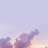 （分類：）位於 。 由 my_hye 提交（商品編號 1068783207，圖片 1）。簡介： 。
