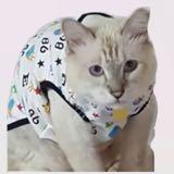 (Category: ) located in . Submitted by bobbobchow (Listing ID 1384996504, Image 1). Description: .