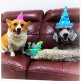 (Category: ) located in . Submitted by toniatsang (Listing ID 1439616313, Image 1). Description: .
