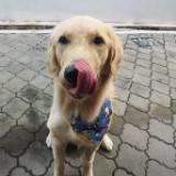 (Category: ) located in . Submitted by jxsin (Listing ID 1385594869, Image 1). Description: .