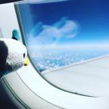 （分類：）位於 。 由 acy0000 提交（商品編號 1261039088，圖片 1）。簡介： 。